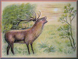 hirsch, malerei