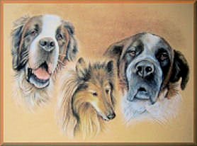 tierportraits, malerei