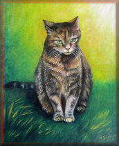 katzenportraits, katzen