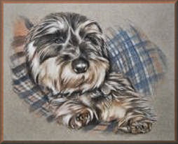 terrier, tiermalerei