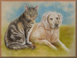 tierzeichnung, tierportraits