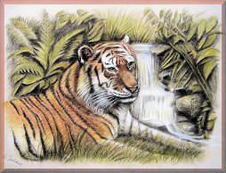 tiger, malerei, raubkatze