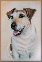 hundezeichnungen, portraits